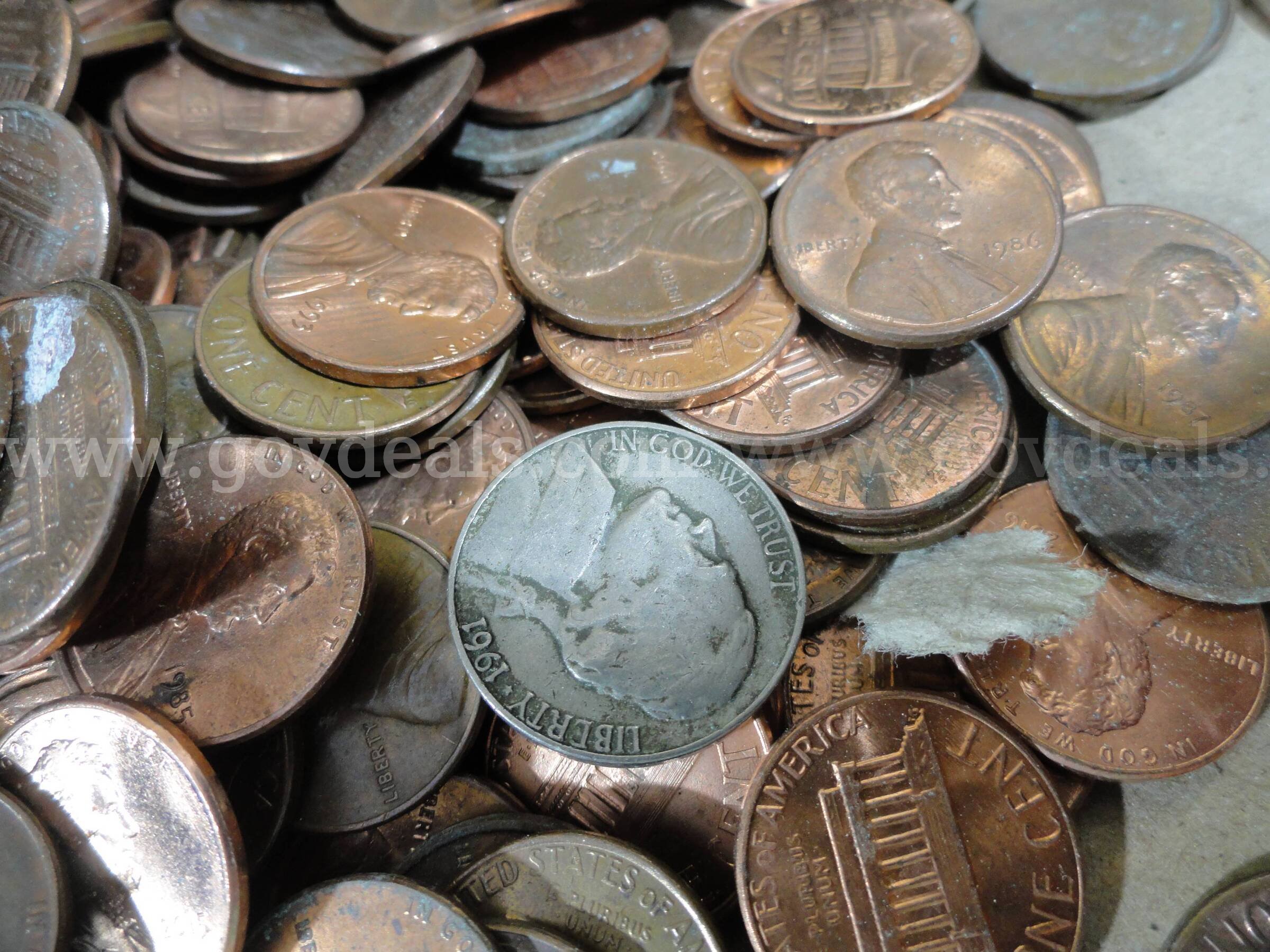 Lot of 8,000+ U.S. Coins – Mostly Cents – Unsorted/Unsearched – 50 lbs  000 Government Surplus Auction - Photo #5