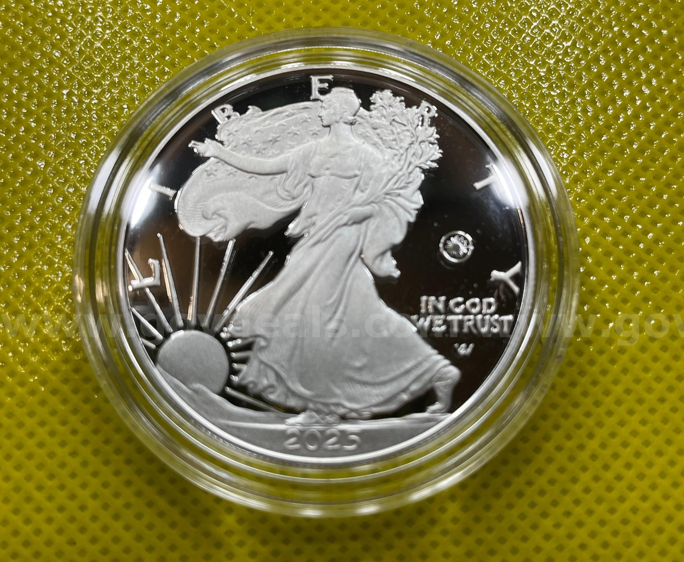 2025 LASER ENGRAVED AMERICAN EAGLE ONE OUNCE SILVER PROOF COIN FREE SHIPPING (USA ONLY) ASE ONE OUNCE PROOF LASER PRIVY MARK Government Surplus Auction - Photo #6