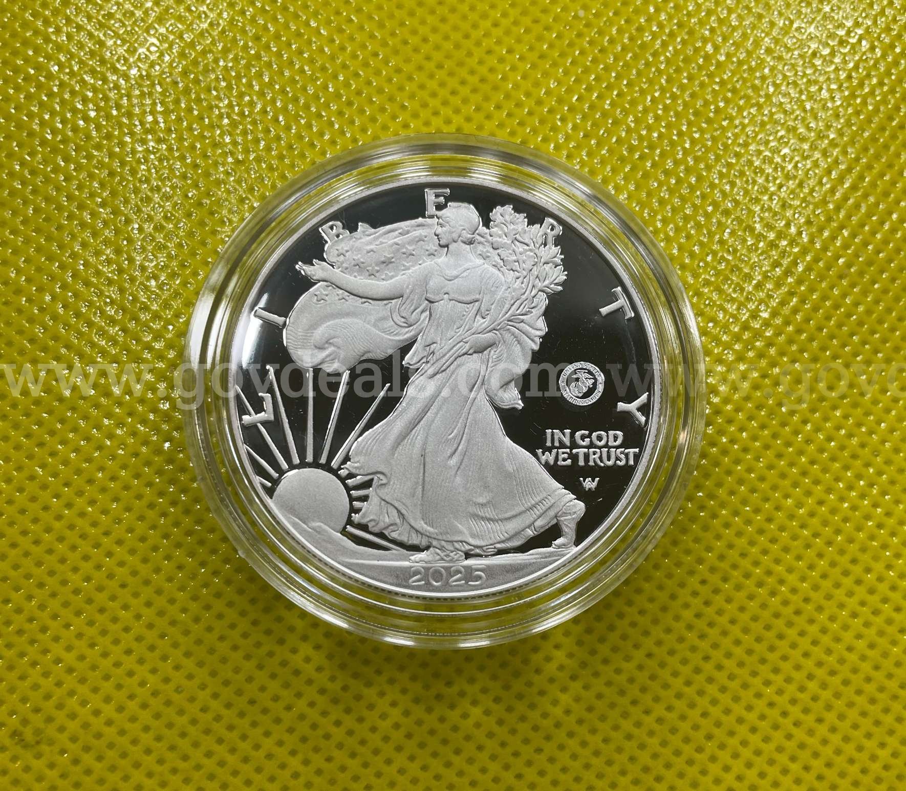 2025 250th ANNIVERSARY UNITED STATES MARINE CORPS AMERICAN SILVER EAGLE ONE OUNCE SILVER PROOF COIN FREE SHIPPING ASE ONE OUNCE PROOF 250th Government Surplus Auction - Photo #2
