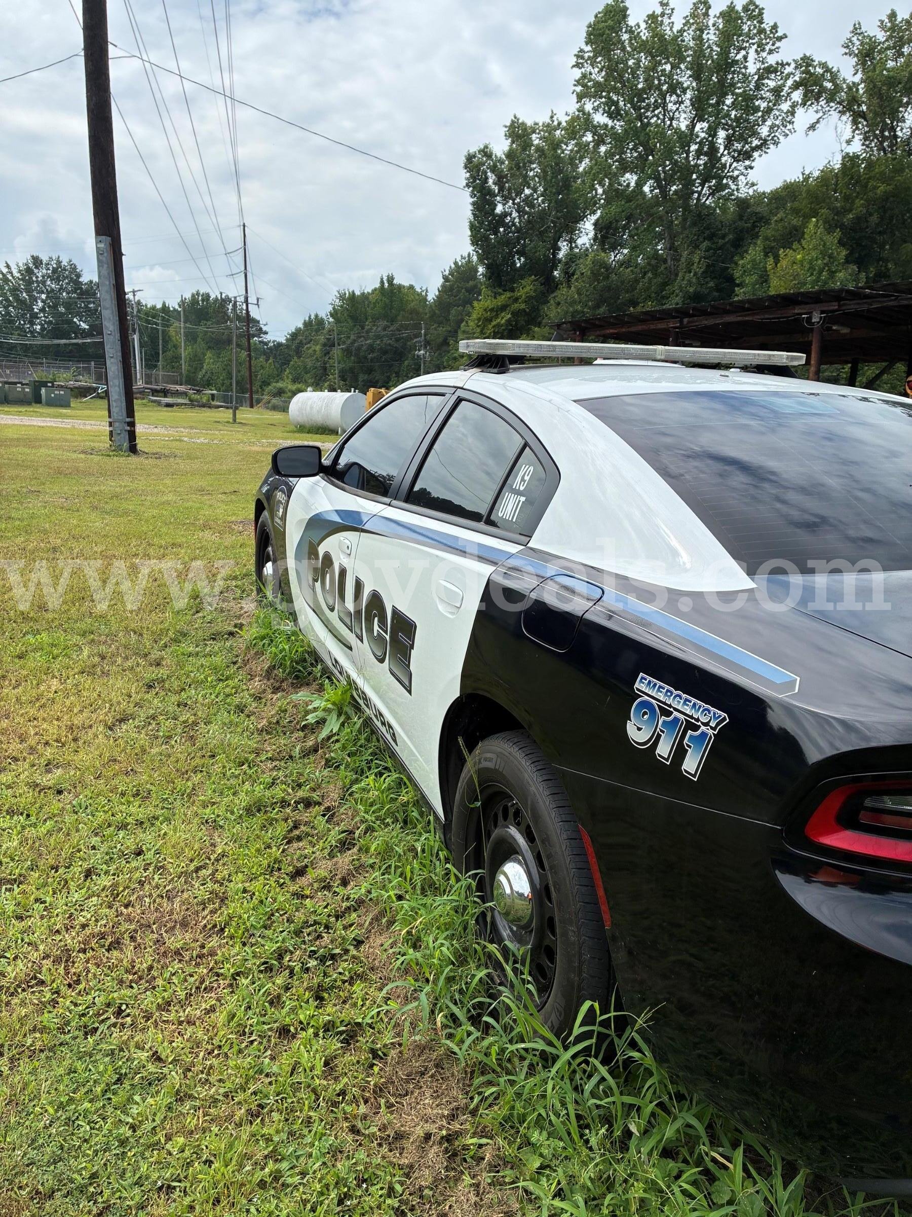 2017 Dodge Charger Dodge Charger Government Surplus Auction - Photo #3