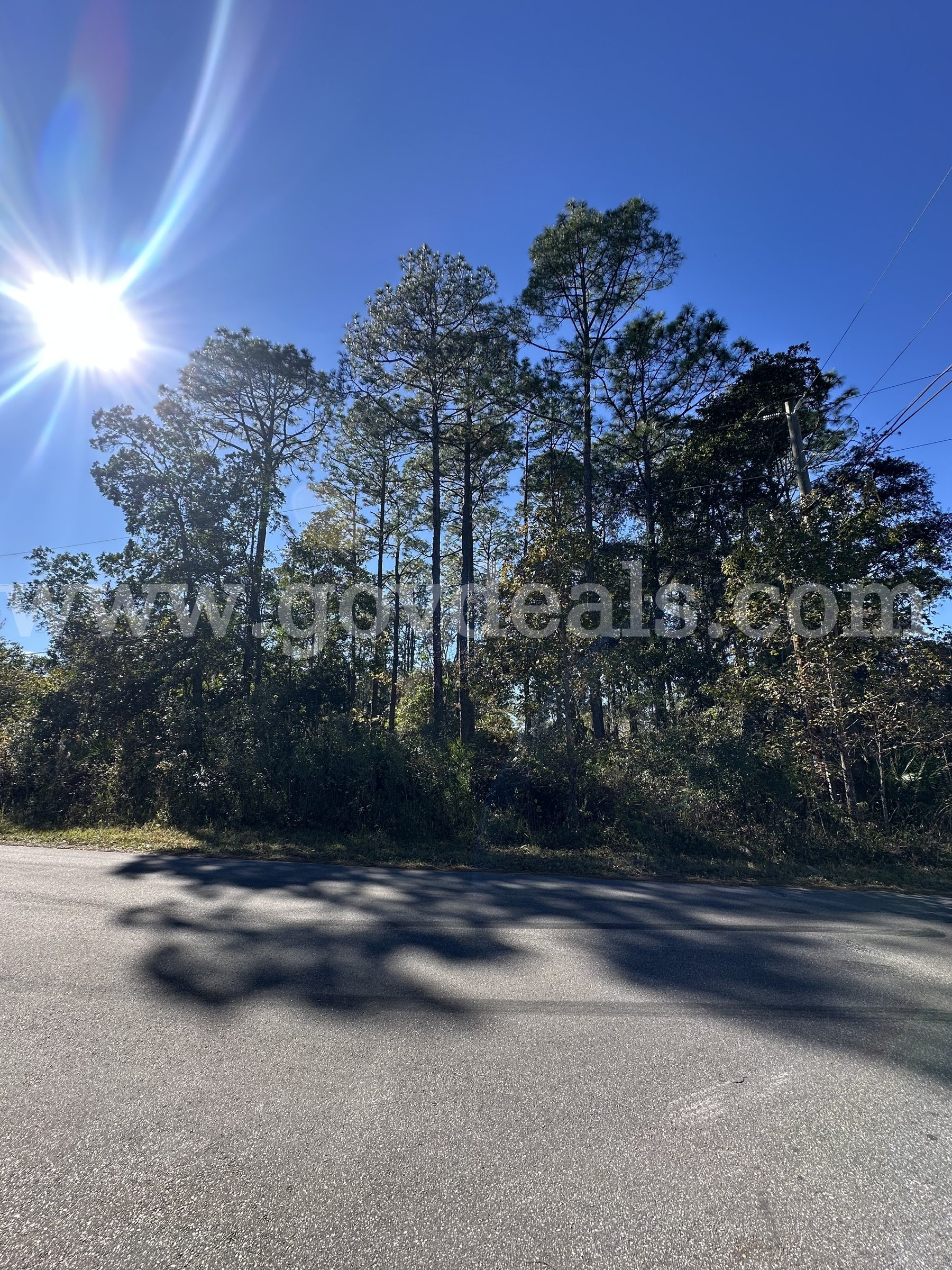 0.23 Acres of Vacant, Residential Land in Putnam County, Florida   Government Surplus Auction - Primary Photo