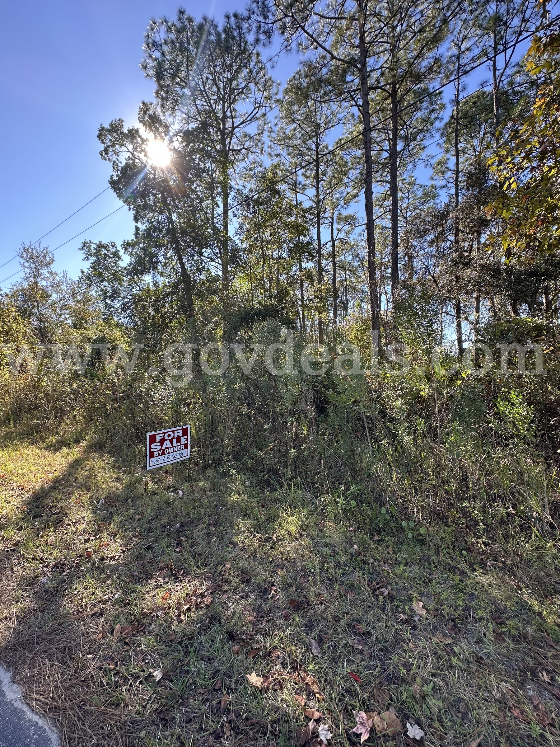0.23 Acres of Vacant, Residential Land in Putnam County, Florida   Government Surplus Auction - Photo #2
