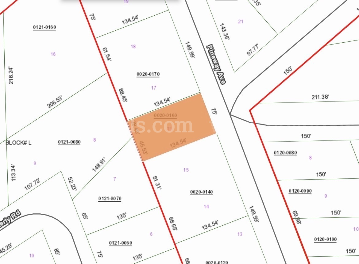 0.23 Acres of Vacant, Residential Land in Putnam County, Florida   Government Surplus Auction - Photo #3