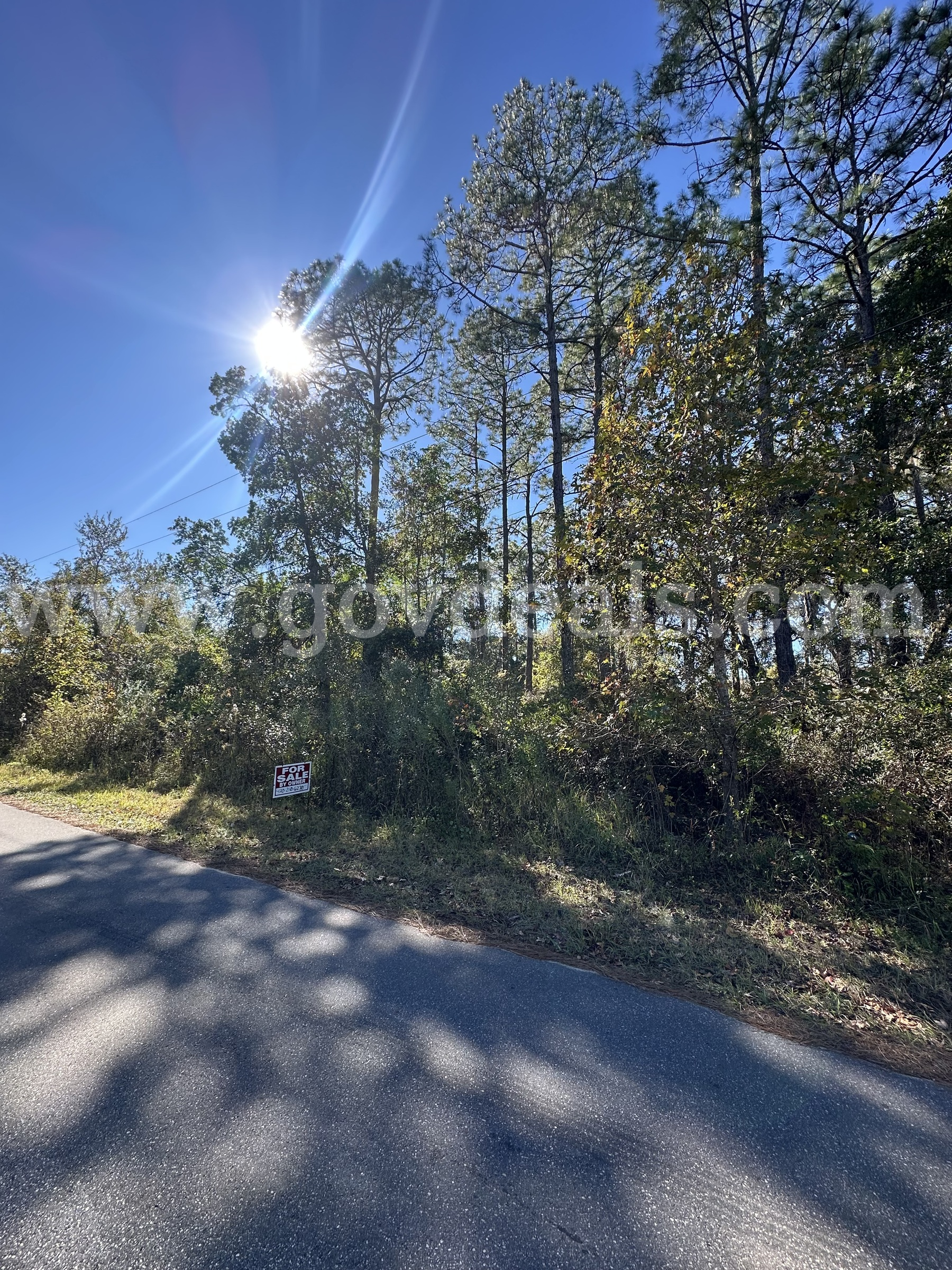 0.23 Acres of Vacant, Residential Land in Putnam County, Florida   Government Surplus Auction - Photo #6