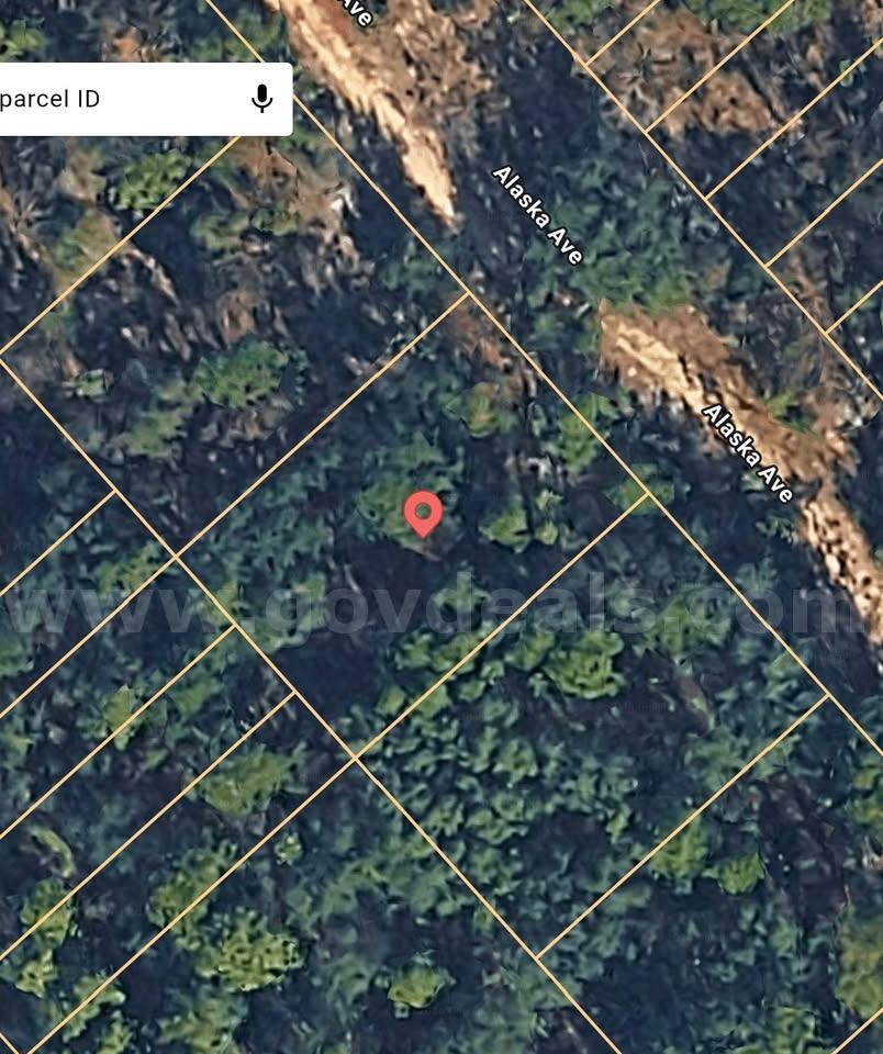 .19-acre buildable lot in Interlachen, FL   Government Surplus Auction - Photo #2