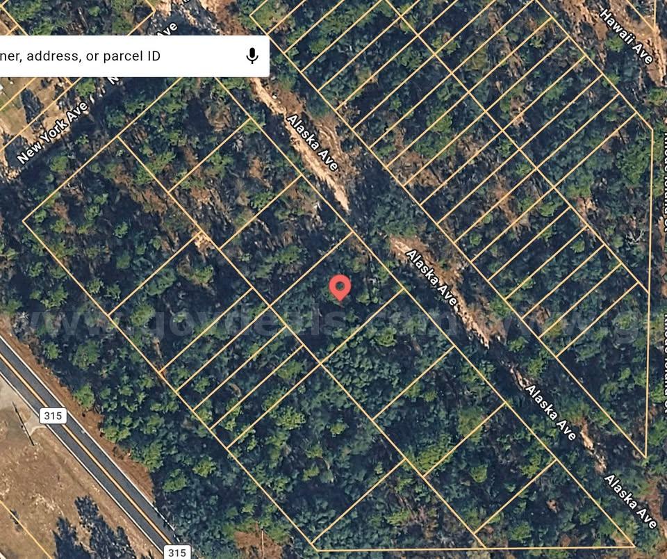 .19-acre buildable lot in Interlachen, FL   Government Surplus Auction - Photo #3