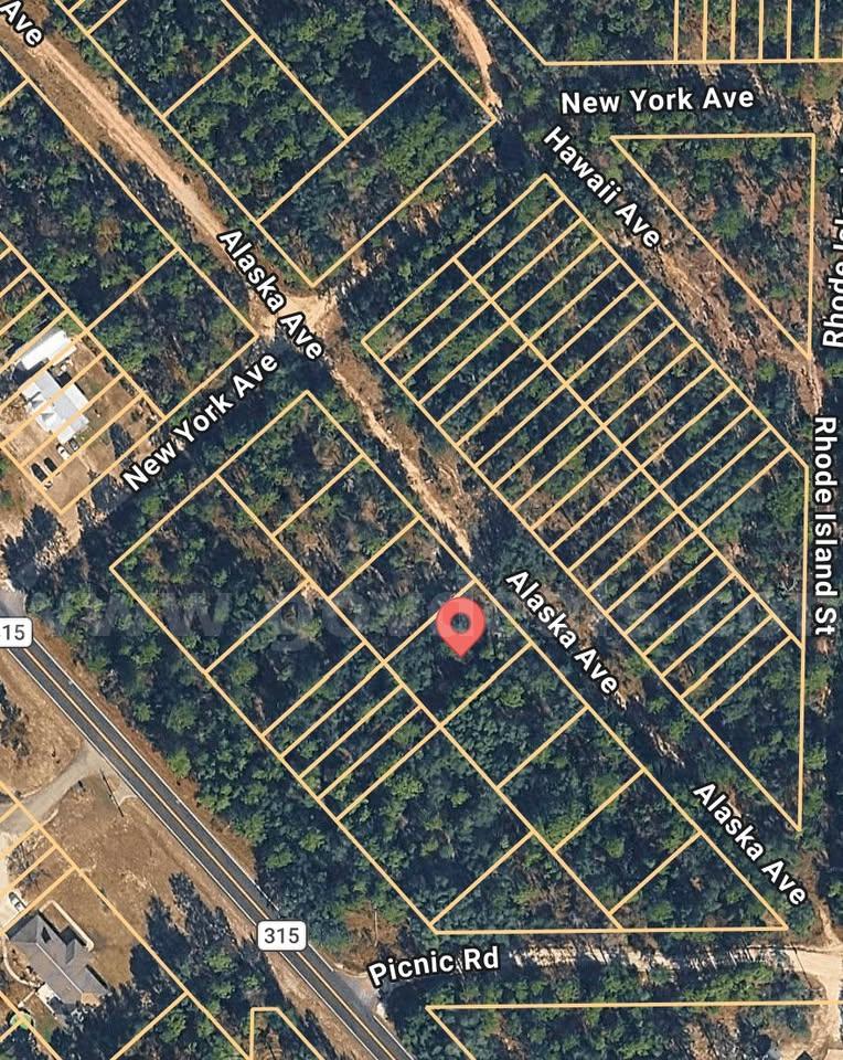.19-acre buildable lot in Interlachen, FL   Government Surplus Auction - Photo #4