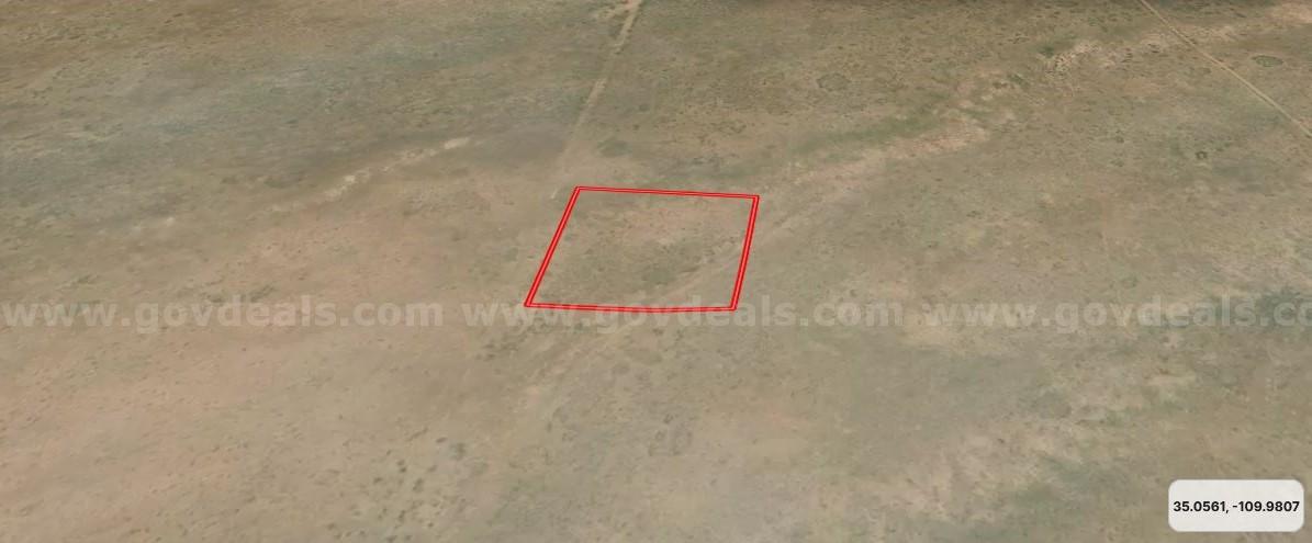 2.5ac residential lot in Navajo County, AZ. No Restrictions! No HOA !!   Government Surplus Auction - Photo #3