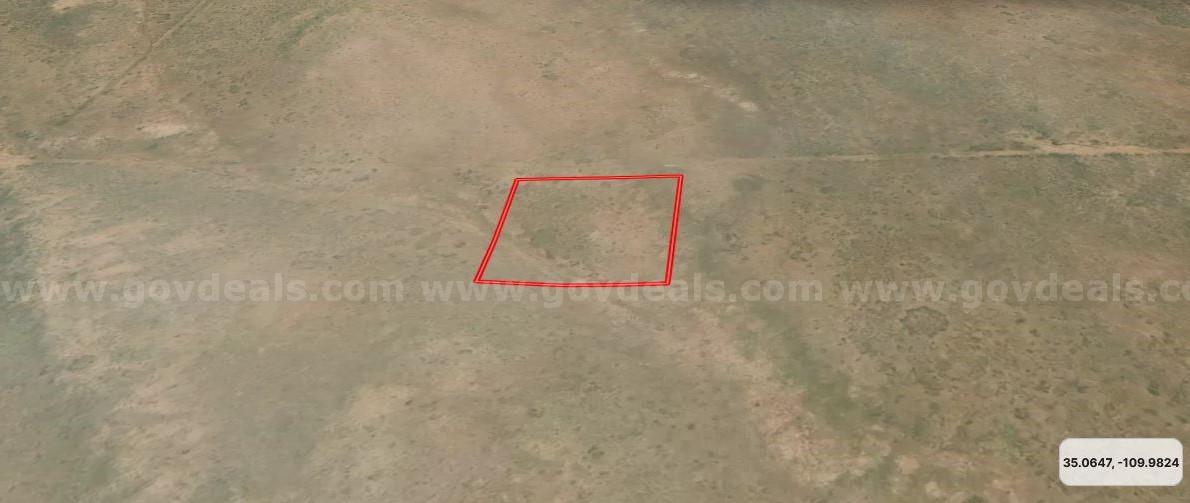 2.5ac residential lot in Navajo County, AZ. No Restrictions! No HOA !!   Government Surplus Auction - Photo #4