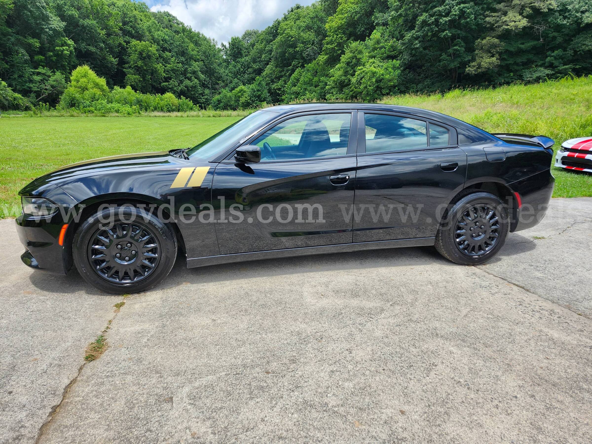2019 Dodge Charger 5.7 V8 HEMI  AWD ***See Test Drive Video*** Dodge Charger Government Surplus Auction - Photo #6