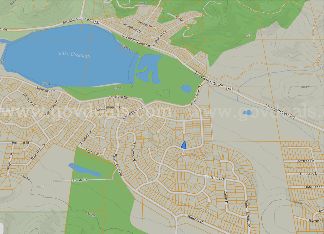 0.18 Acres Near Lake Elizabeth – Build Your Mountain Retreat in Lake Hughes, CA   Government Surplus Auction - Photo #6