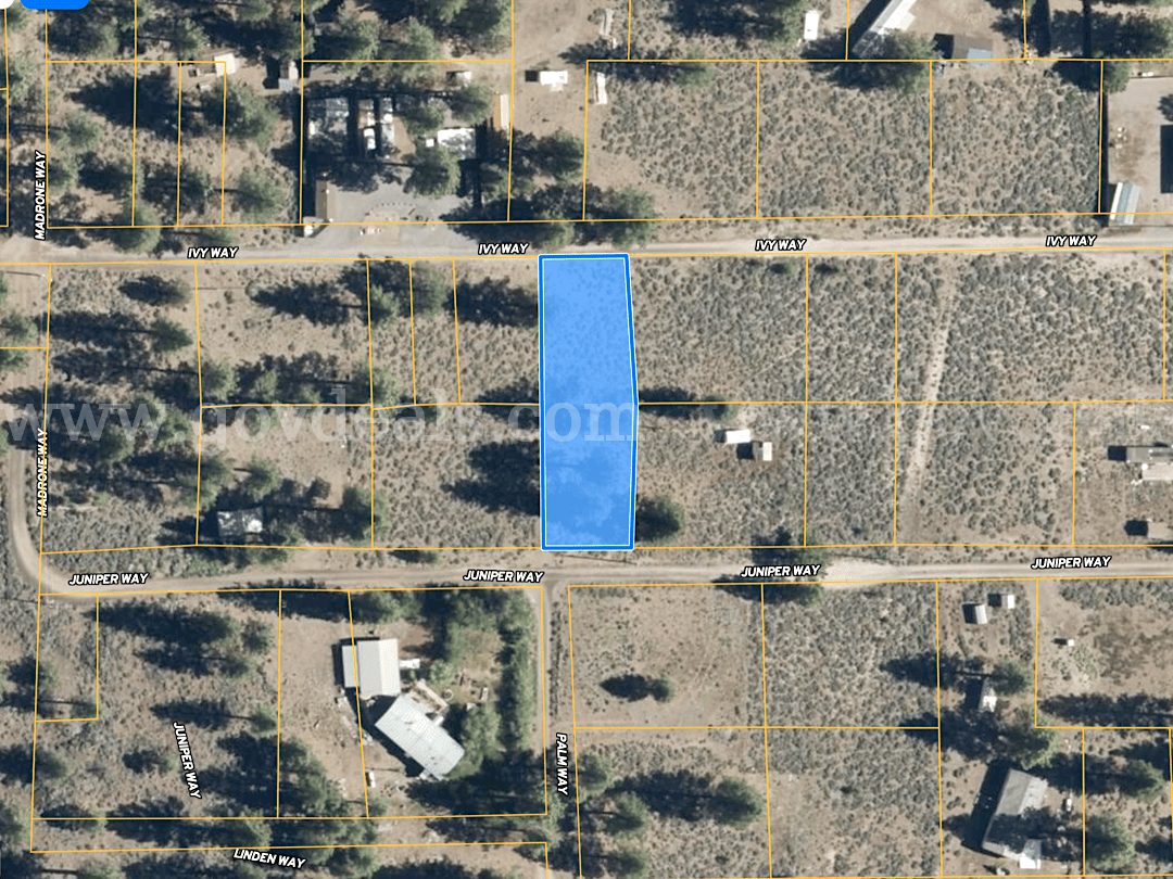 0.27 Acres Near Eagle Lake – Build or Camp in Susanville, CA   Government Surplus Auction - Primary Photo