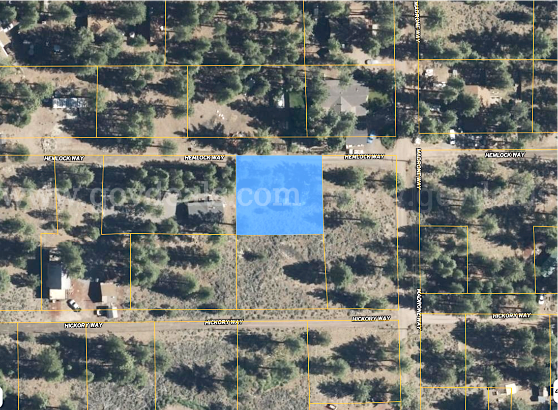Peaceful 0.28-Acre Homesite near Eagle Lake in Susanville, CA   Government Surplus Auction - Photo #2