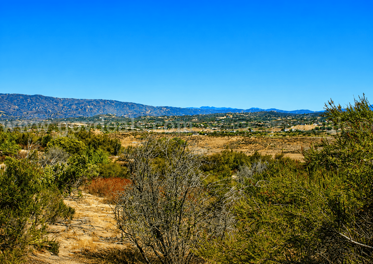 9.06 Acres at the Base of Cahuilla Mountain – Your Private Escape in Anza, CA