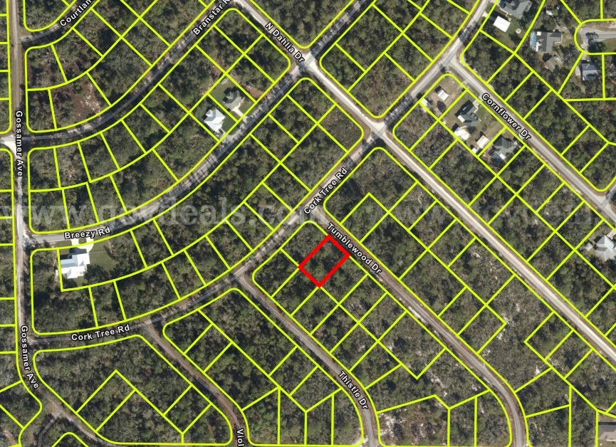 3238 Tumbleweed Dr | 0.23-Acre R1 Homesite, Low Taxes, Deed Included | Lake Placid, FL  3238 Government Surplus Auction - Photo #3