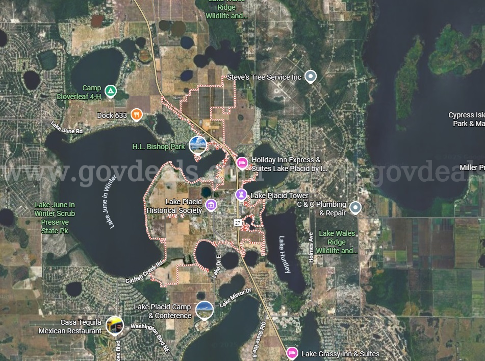 3238 Tumbleweed Dr | 0.23-Acre R1 Homesite, Low Taxes, Deed Included | Lake Placid, FL  3238 Government Surplus Auction - Photo #6