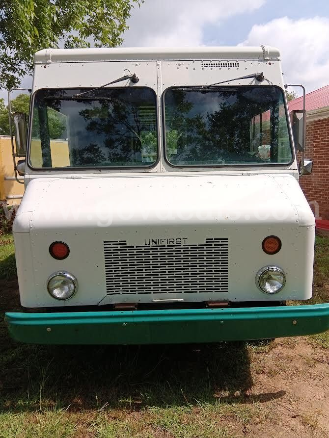 2008 Workhorse W42