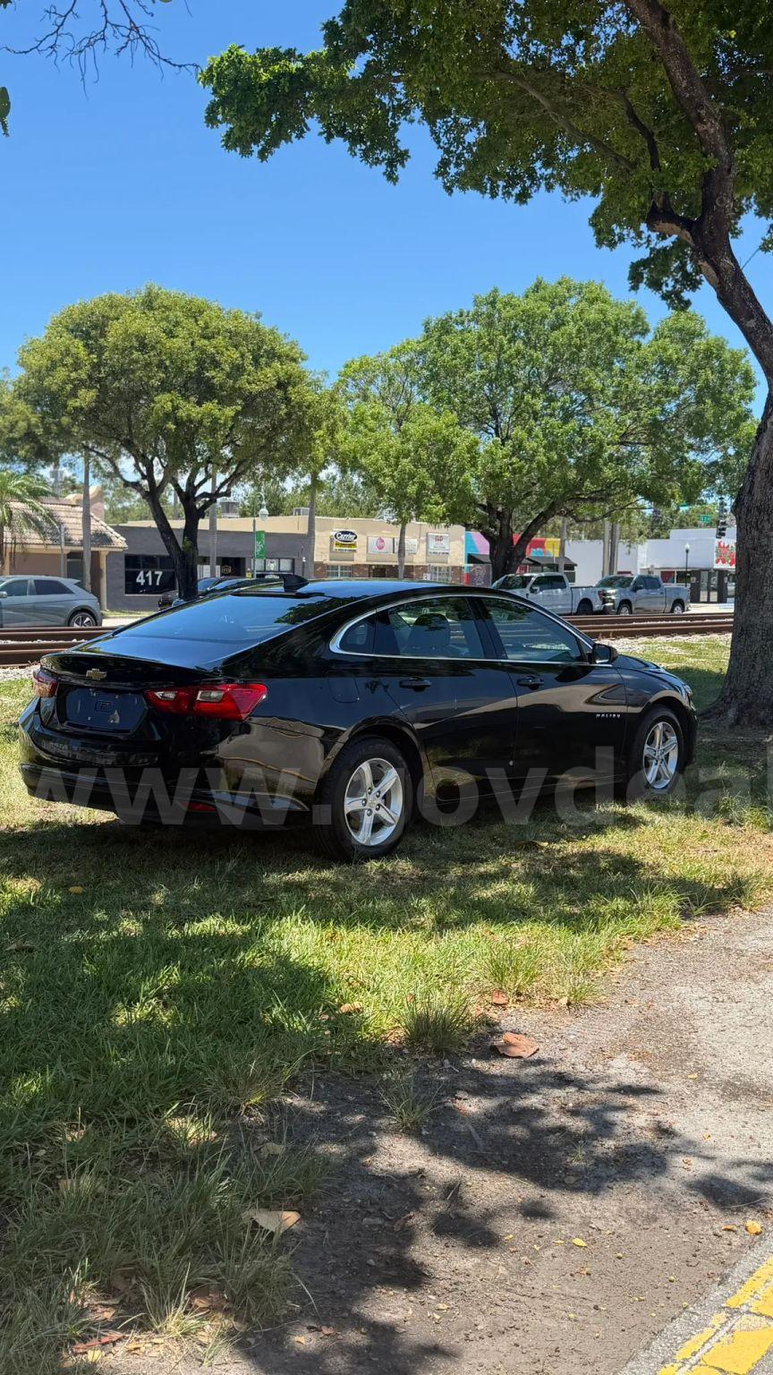 2023 Chevrolet Malibu Chevrolet Malibu Government Surplus Auction - Photo #5