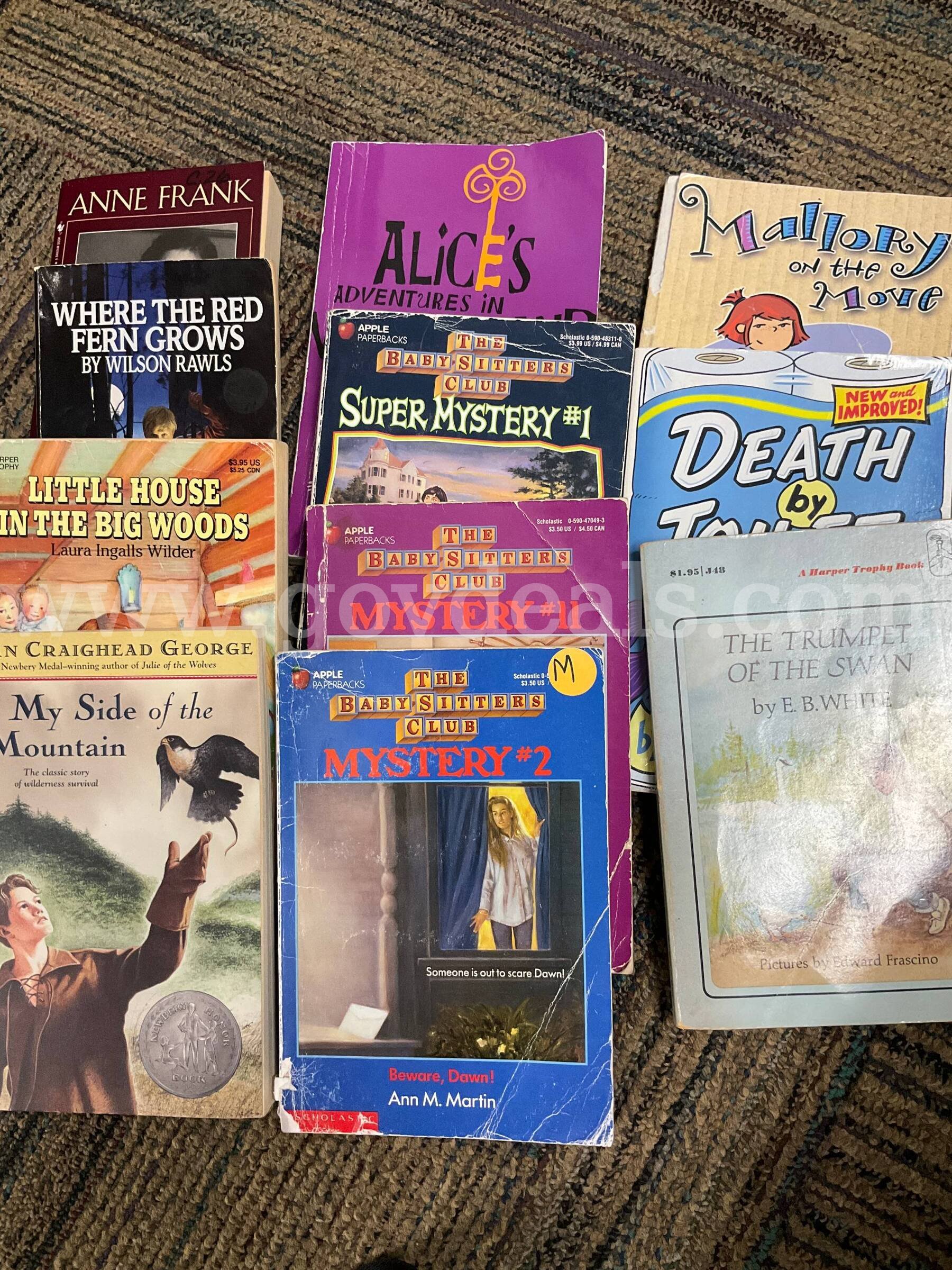 Bulk Children's & Young Adult Book Lot (30+ Books) – Classic Chapter Books, Graphic Novels & Series   Government Surplus Auction - Photo #2