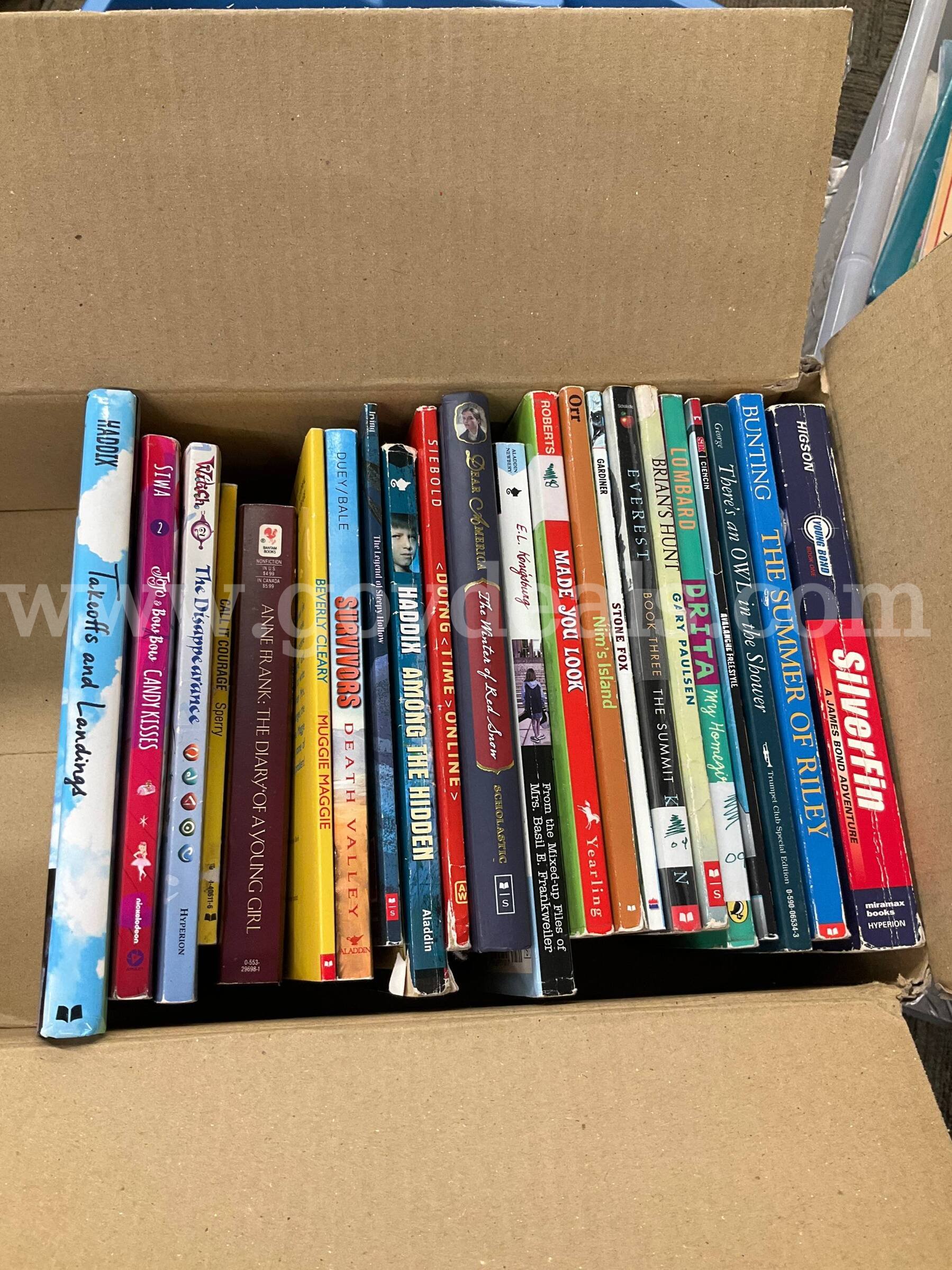 Bulk Children's & Young Adult Book Lot (30+ Books) – Classic Chapter Books, Graphic Novels & Series   Government Surplus Auction - Photo #3