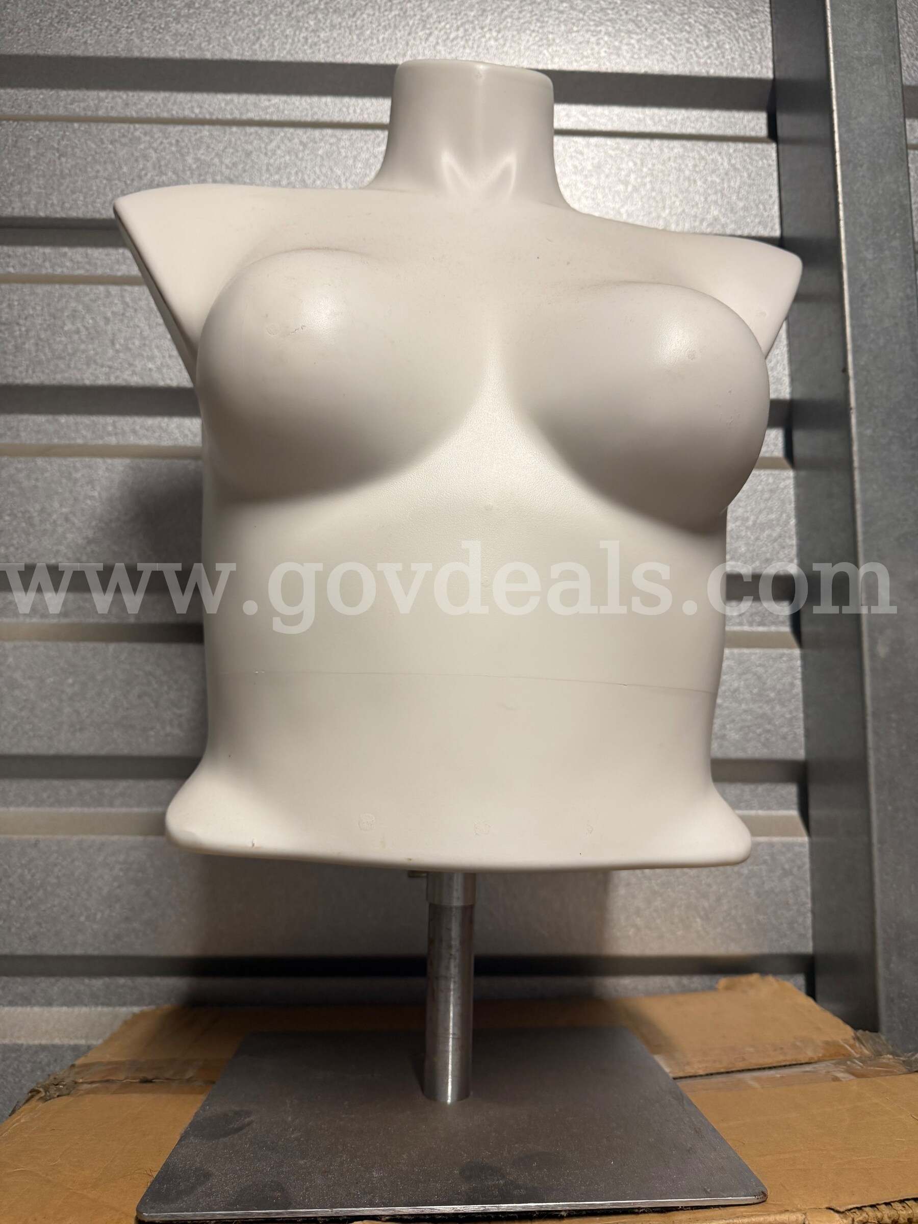 Polyethylene Female Shirt Form Extendable With Standing Floor Base,Unbreakable NHLPFB4M Lightly used   Government Surplus Auction - Photo #2