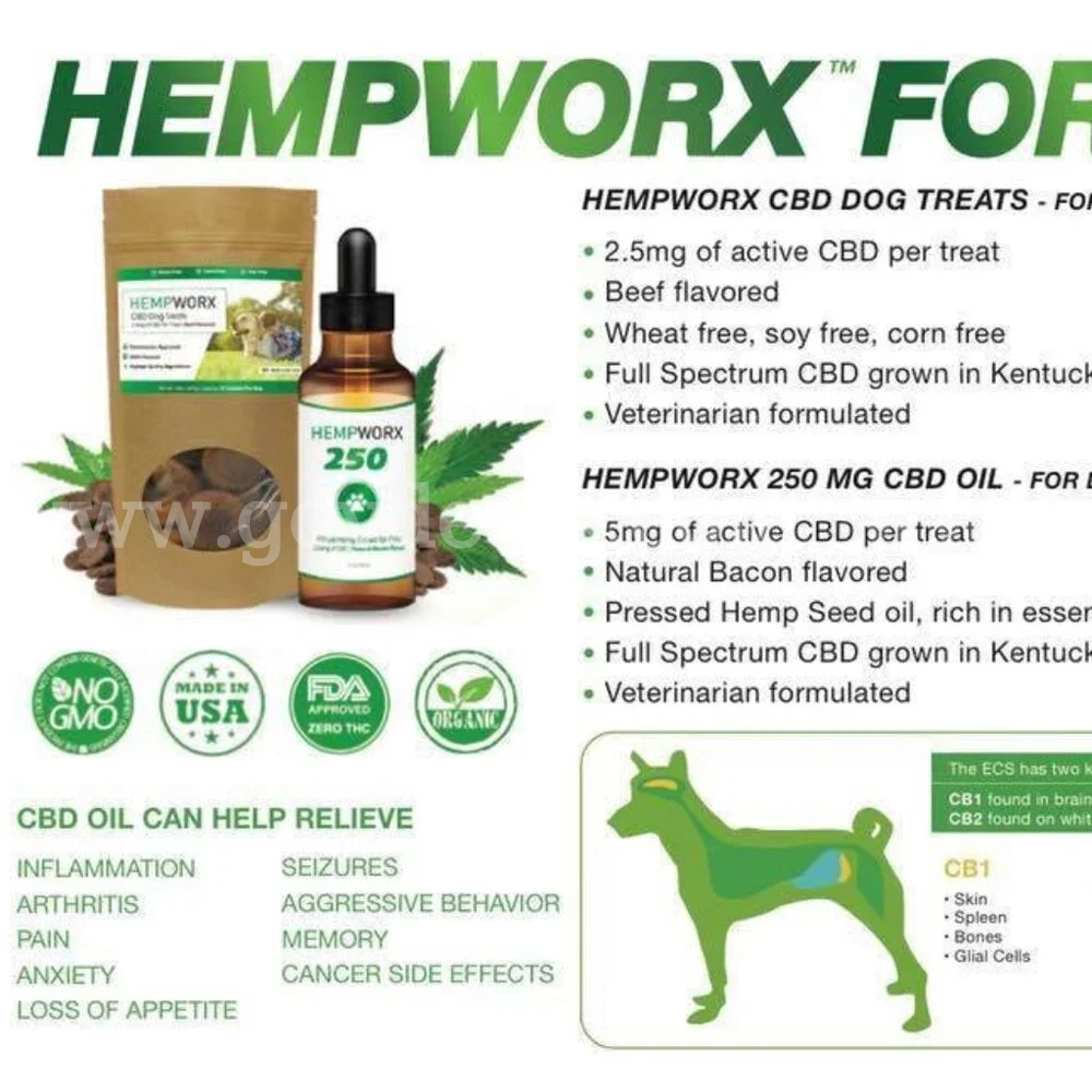 DOG TREATS LIQUID 250 MG BACON FLAVOR / NEW / FACTORY SEALED *WILL SHIP*  250 Government Surplus Auction - Photo #3