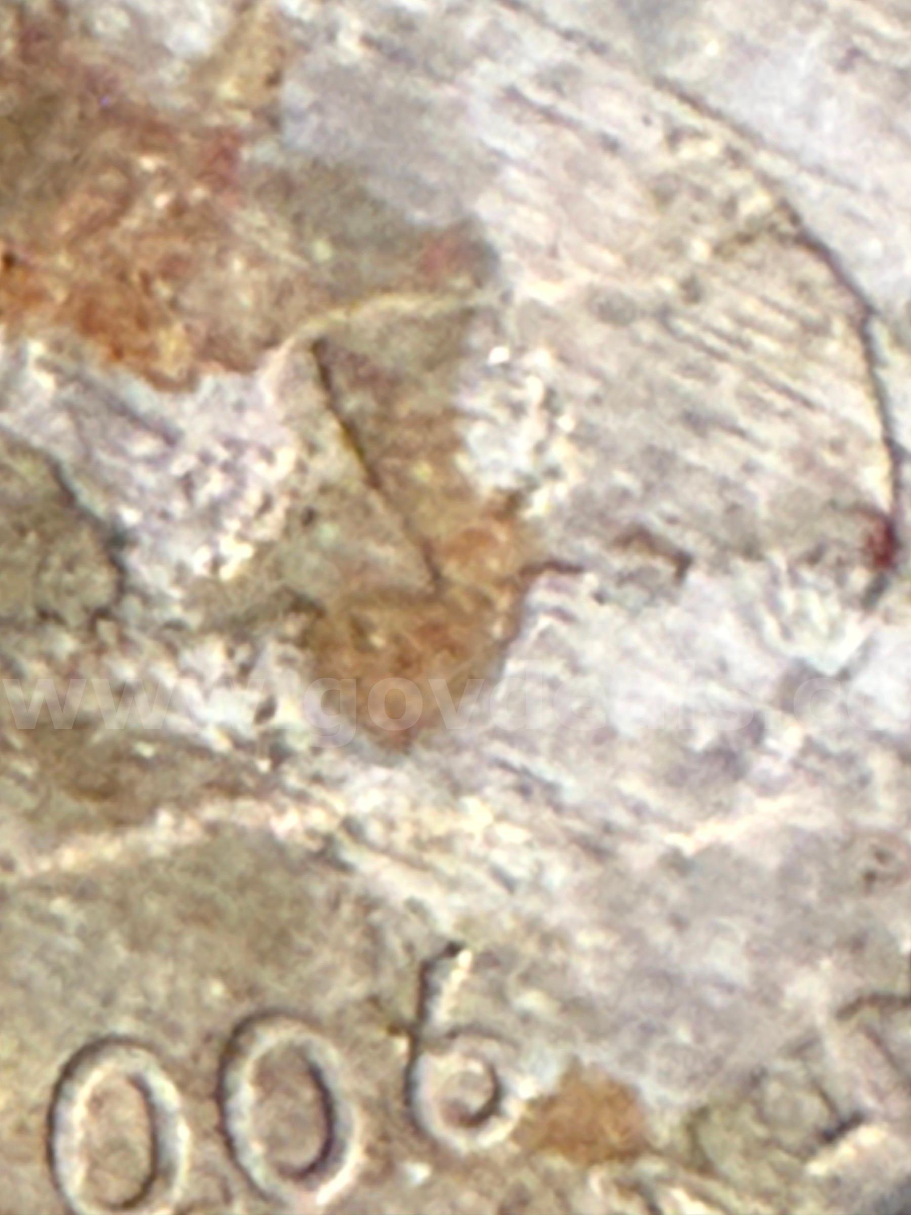 Unusual 2006 D Quarter with REVERSE Delamination   Government Surplus Auction - Photo #3