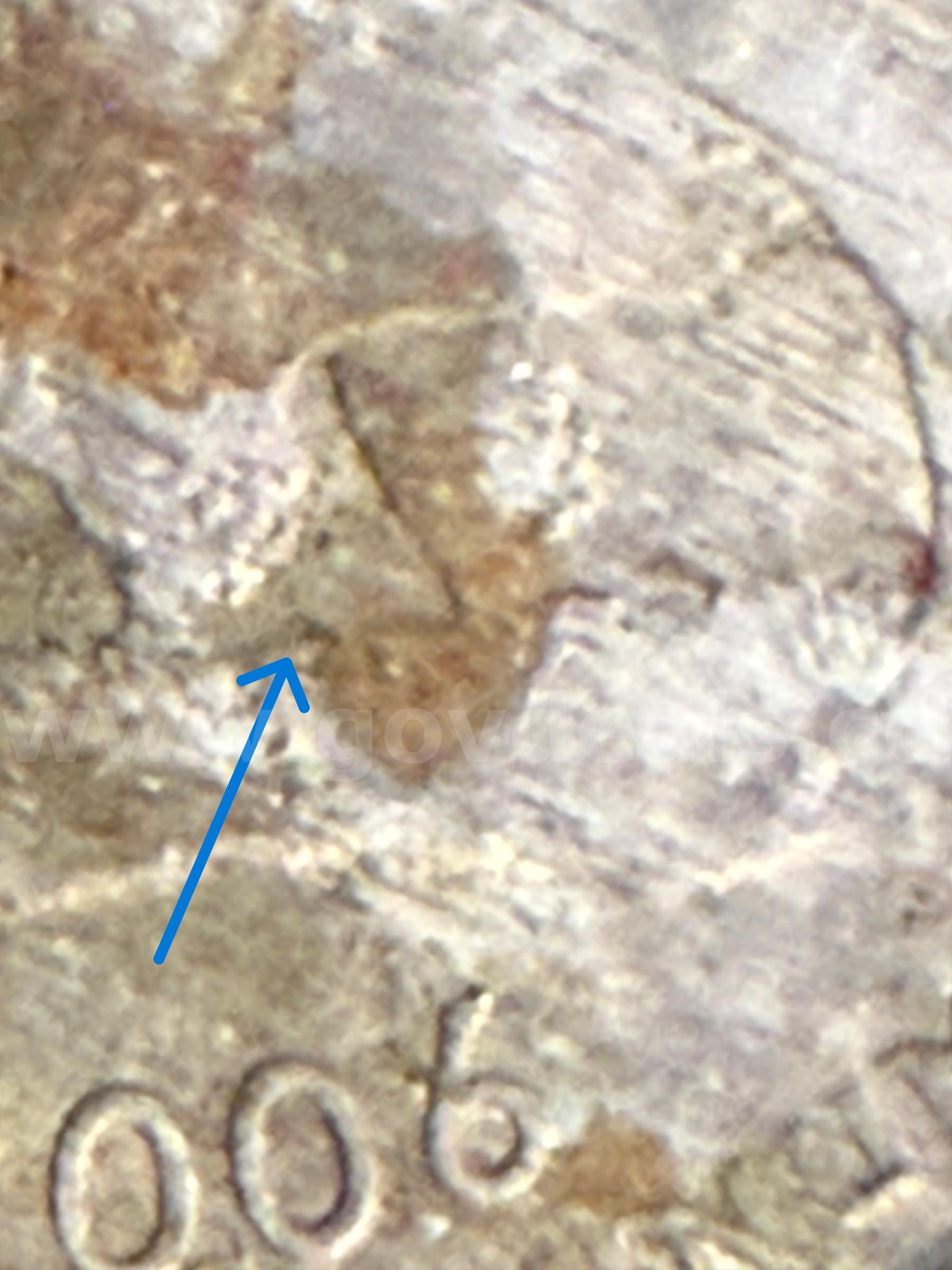 Unusual 2006 D Quarter with REVERSE Delamination   Government Surplus Auction - Photo #4