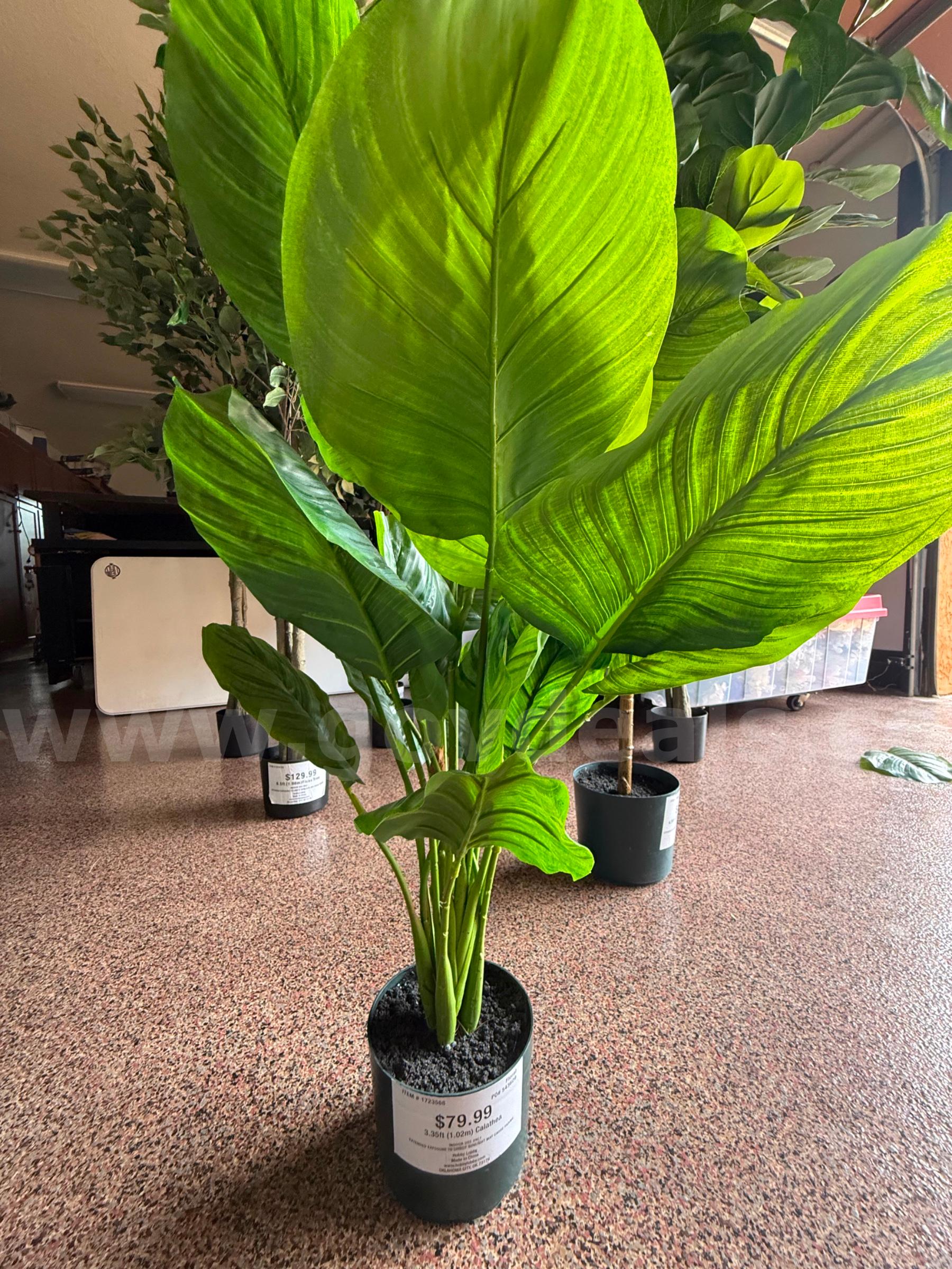 1 lot of 3 fake Decorative plants   Government Surplus Auction - Photo #2