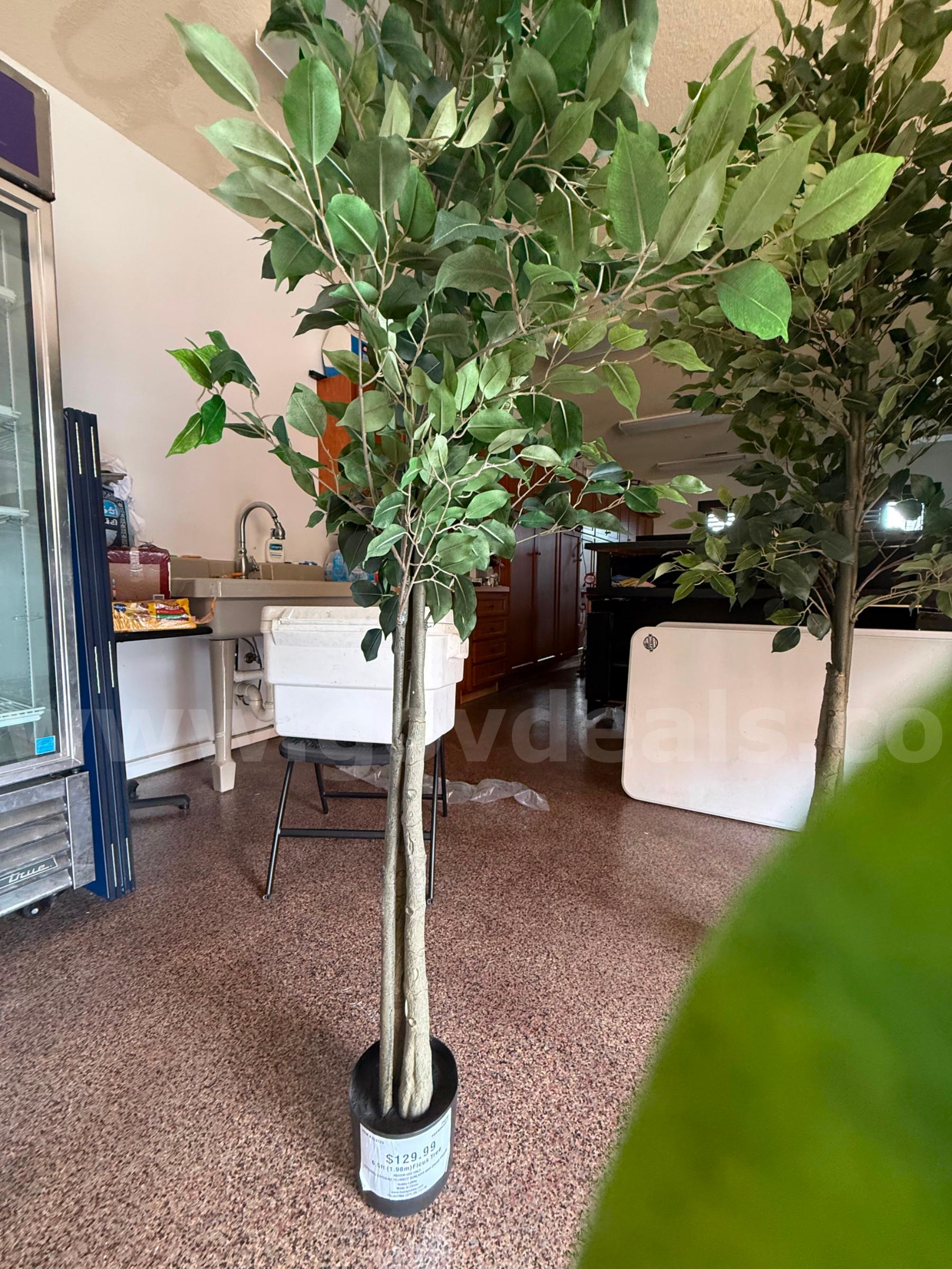 1 lot of 3 fake Decorative plants   Government Surplus Auction - Photo #3