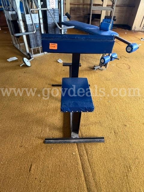 Lot of Weight Benches, Weights, and Lifting Equipment