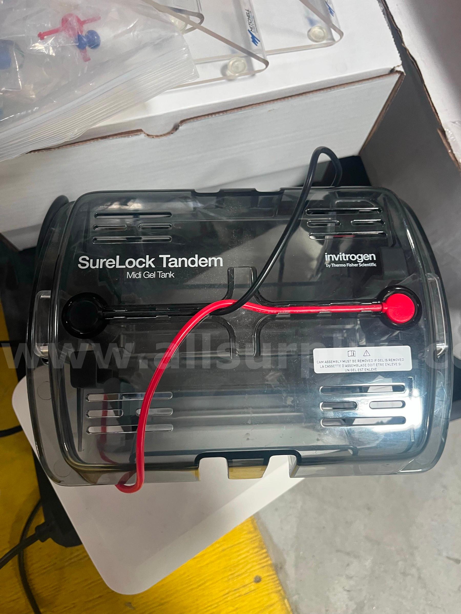 Invitrogen Thermo Fisher SureLock Tandem Midi Gel System with power ease pack, STM1001   Government Surplus Auction - Primary Photo