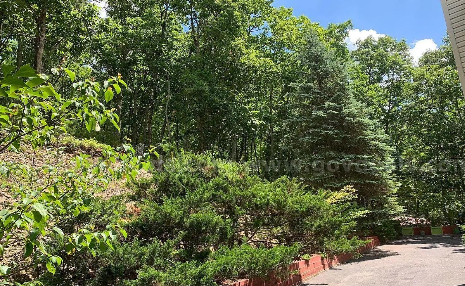 Build Your Mountain Getaway in Saw Creek Estates — 0.47 Acres with Township Views   Government Surplus Auction - Photo #3