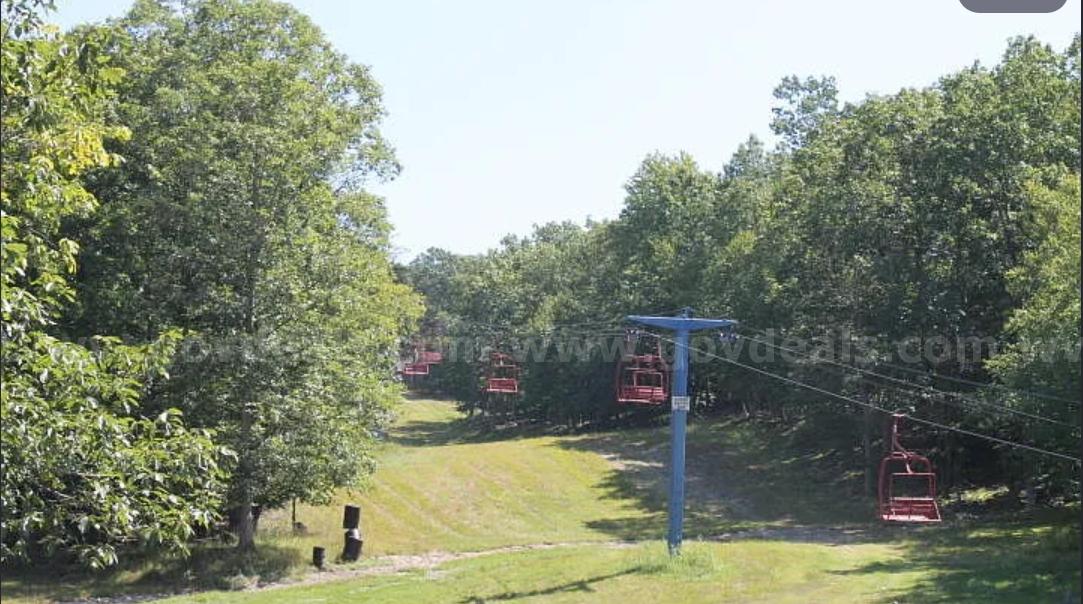 Build Your Mountain Getaway in Saw Creek Estates — 0.47 Acres with Township Views   Government Surplus Auction - Photo #6
