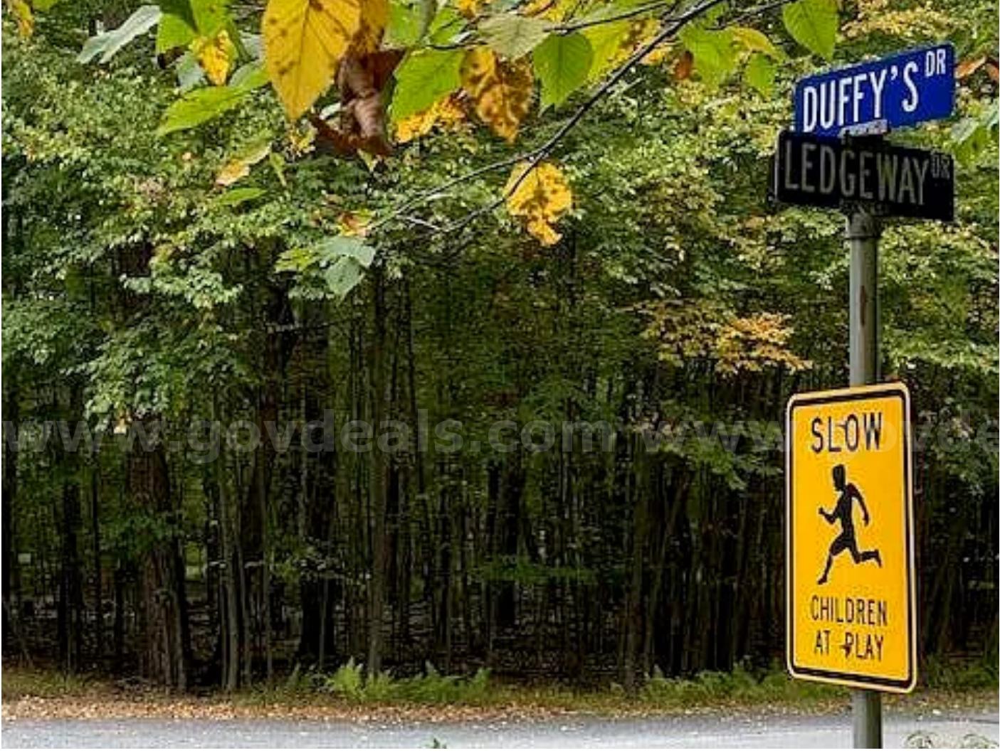 Flat 1.10-Acre Pocono Lot — Build Your Dream Home Near the Delaware River!   Government Surplus Auction - Photo #3