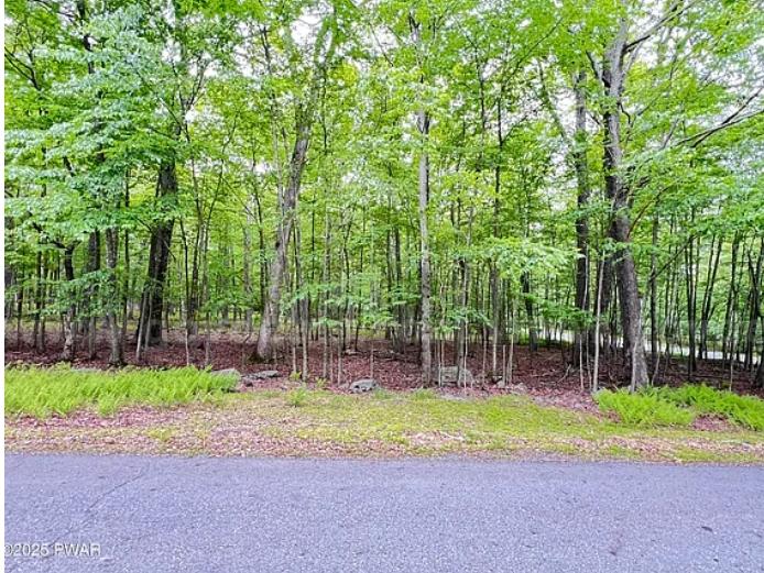 Flat 1.10-Acre Pocono Lot — Build Your Dream Home Near the Delaware River!   Government Surplus Auction - Photo #4