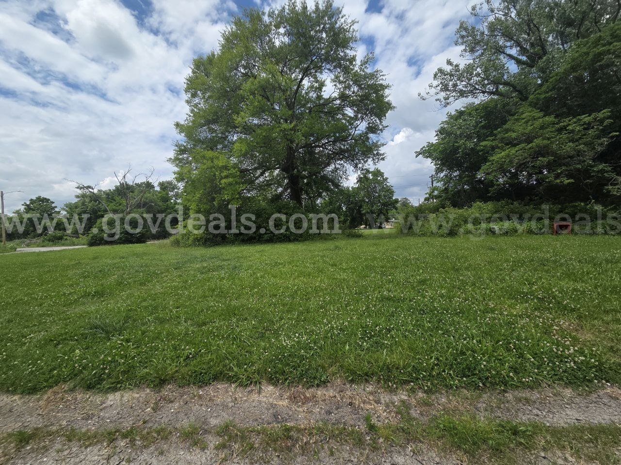 307 Circle Dr East St. Louis, IL 62203 Vacant Land  307 Government Surplus Auction - Photo #3