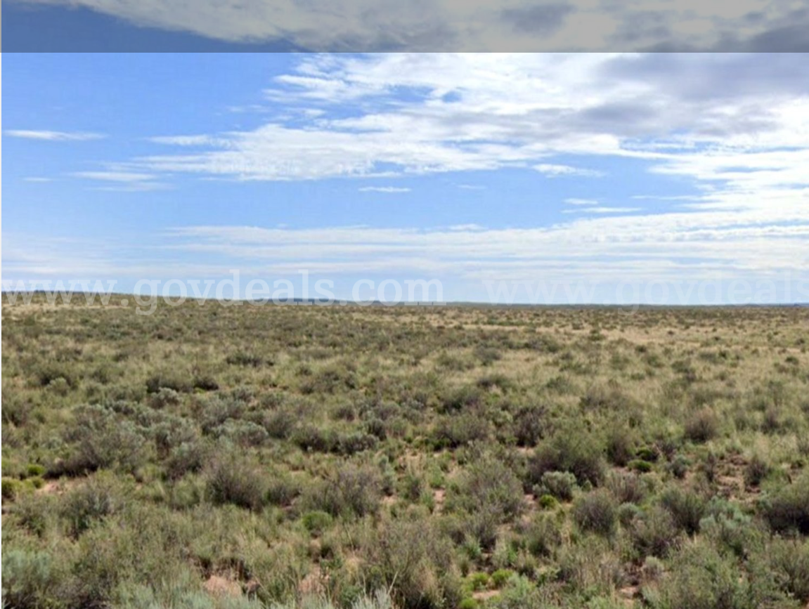 Great investment opportunity - 5.0 Acres Petrified Forest, AZ 86028   Government Surplus Auction - Primary Photo