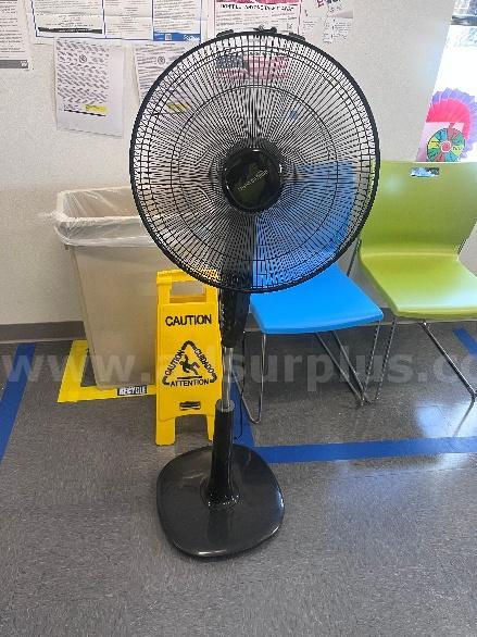 Fan