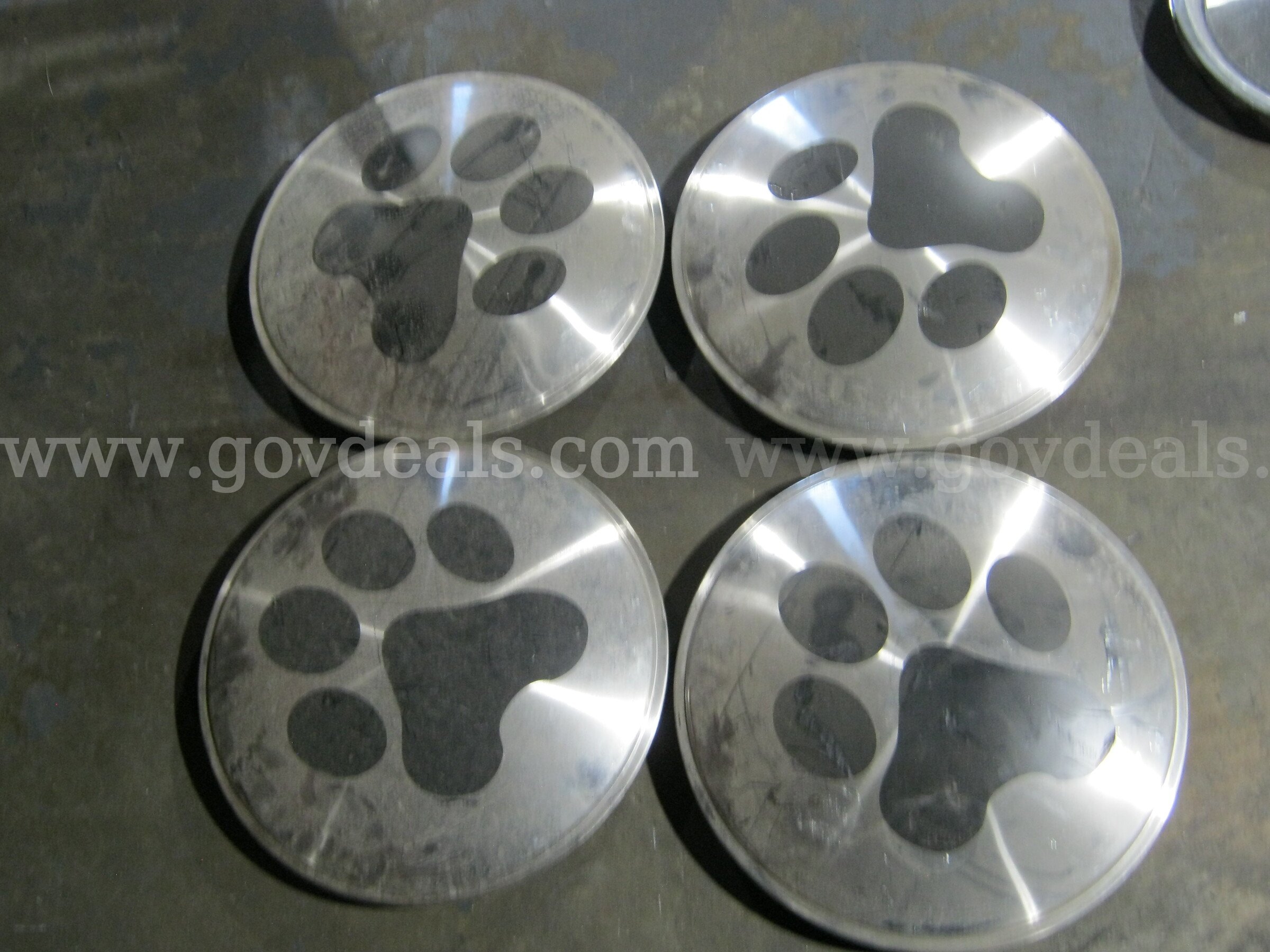 Paw print hub caps   Government Surplus Auction - Primary Photo