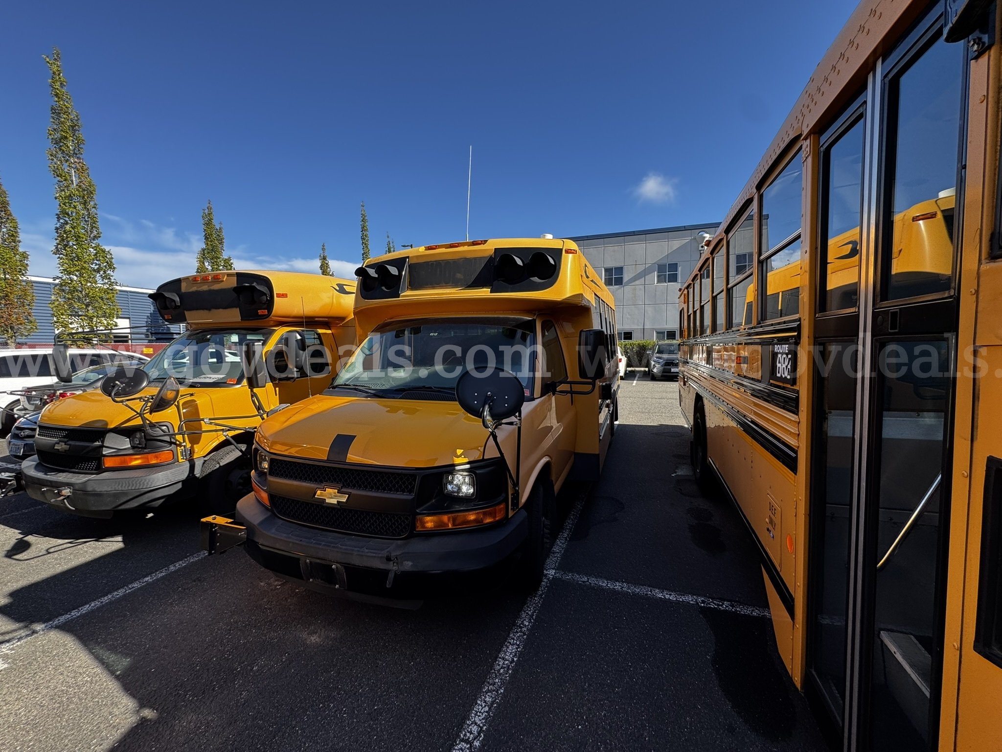 2014 Chevrolet Express Bluebird School Bus Chevrolet Express Government Surplus Auction - Primary Photo