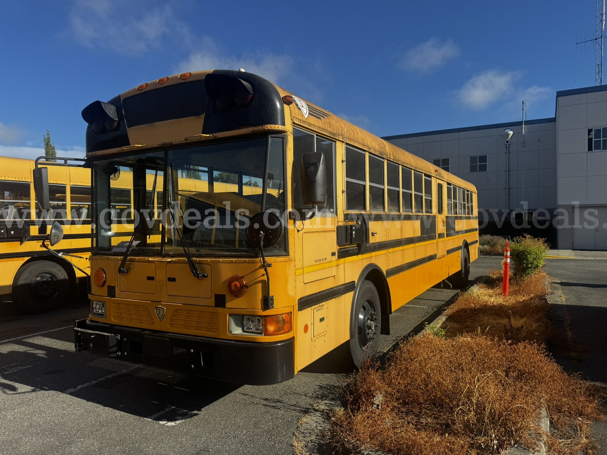 2009 International PB305 School Bus International PB305 Government Surplus Auction - Photo #2