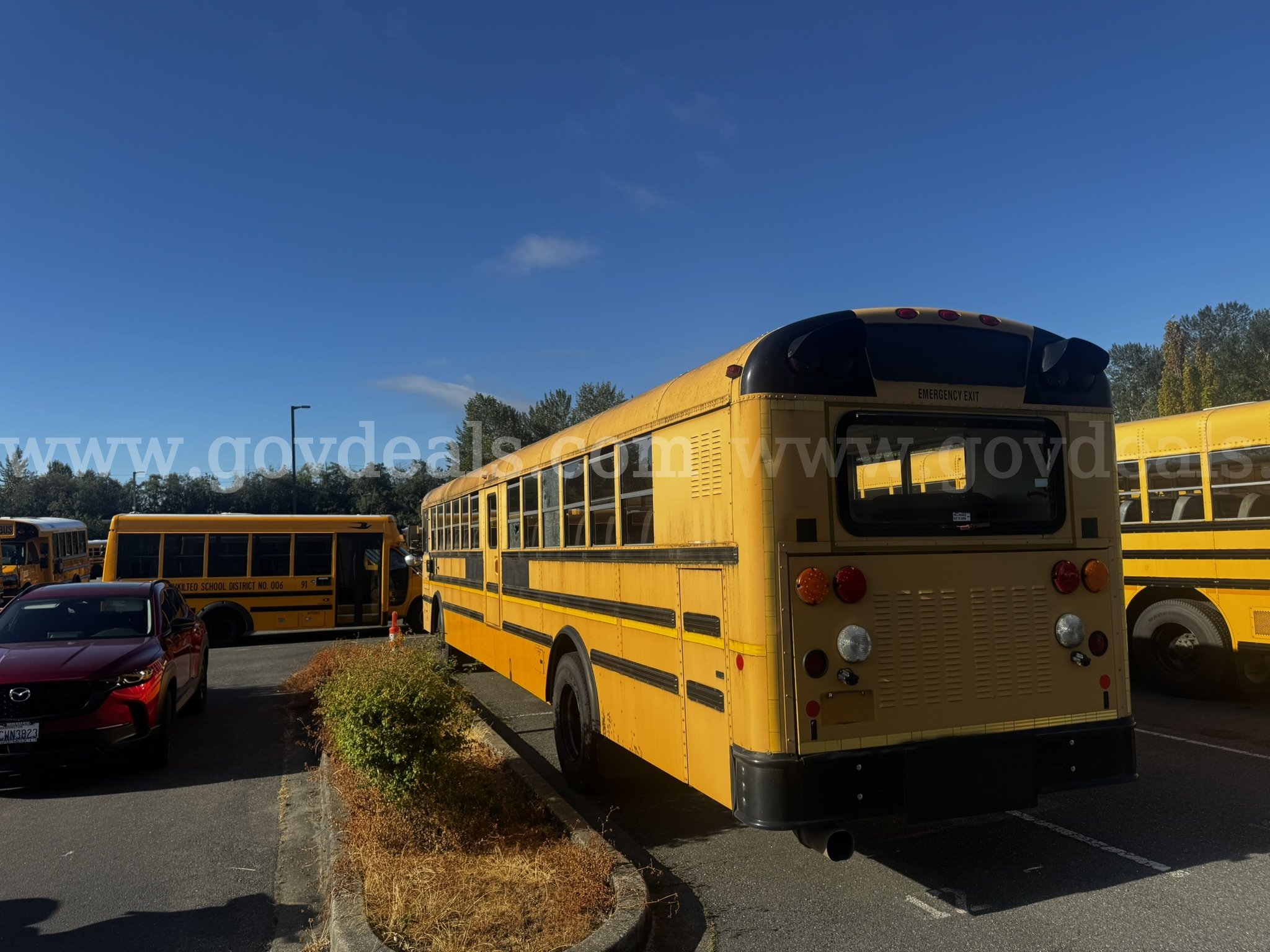 2009 International PB305 School Bus International PB305 Government Surplus Auction - Photo #4