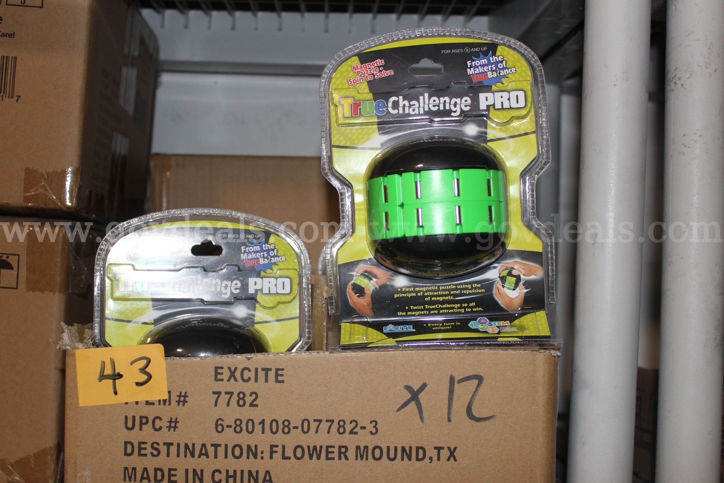 Brand new Excite True Challenge Pro Magnetic Puzzle #7782