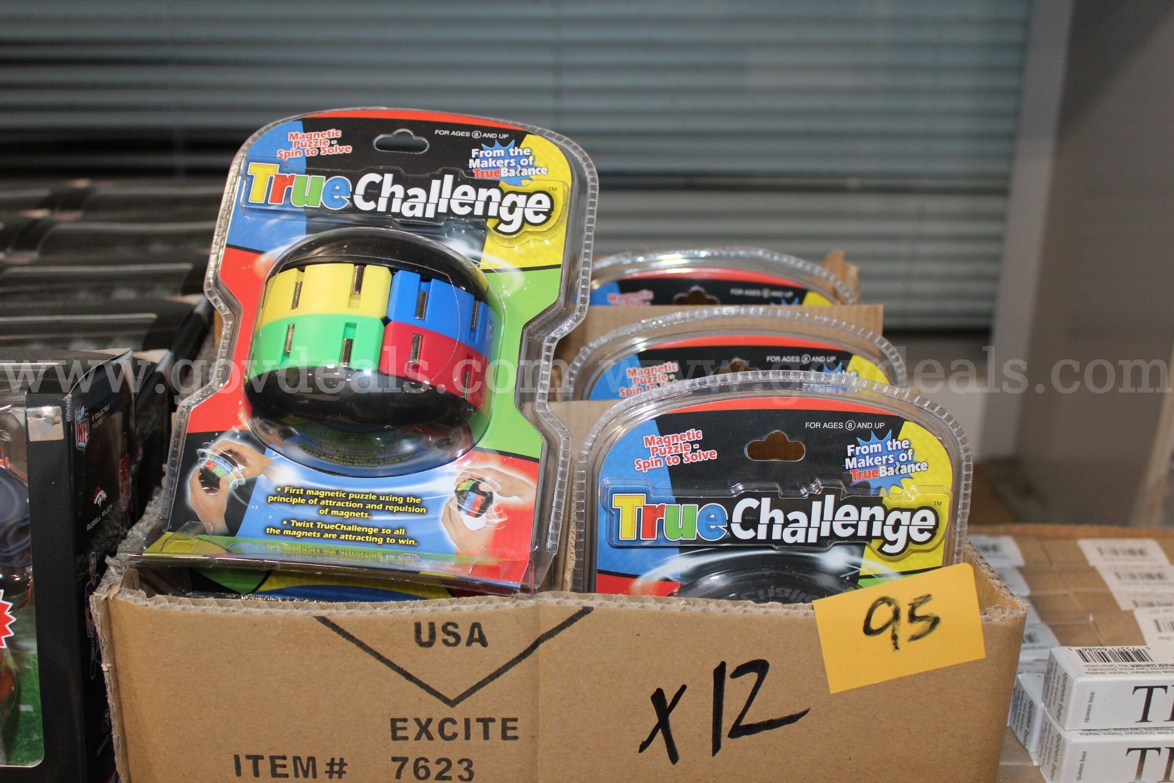 Brand new Excite True Challenge Magnetic Puzzle, lot has 12 units.