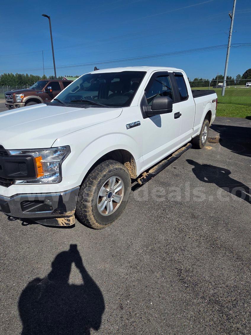 2020 Ford F-150 XL SuperCab 6.5-ft. Bed 4WD Ford F-150 Government Surplus Auction - Primary Photo