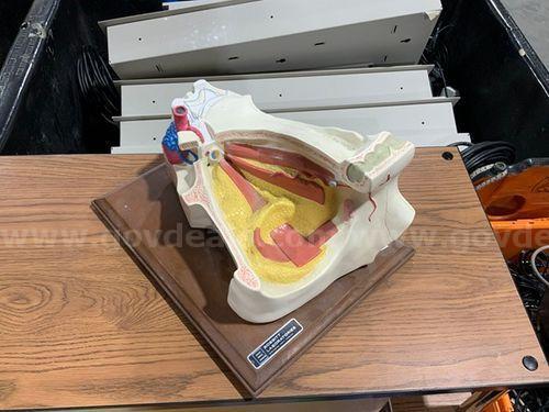 Lab Equipment (225807 NB)   Government Surplus Auction - Photo #5