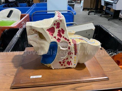 Lab Equipment (225807 NB)   Government Surplus Auction - Photo #6