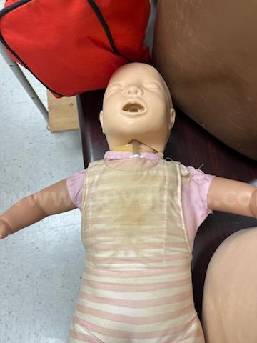 CPR Manikins and Accessories   Government Surplus Auction - Photo #4