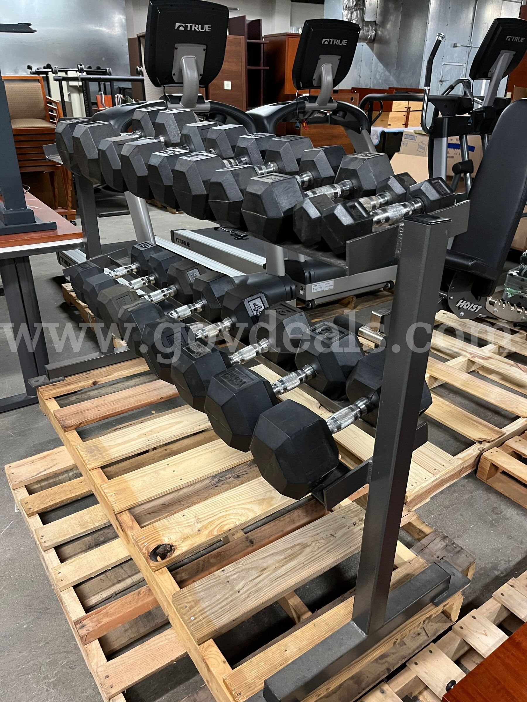 True Fitness Treadmill, Cross Trainer, Upright Bike, Bench with Dumbbells and Dumbbell Rack - Great Condition True Fitness  Government Surplus Auction - Photo #2
